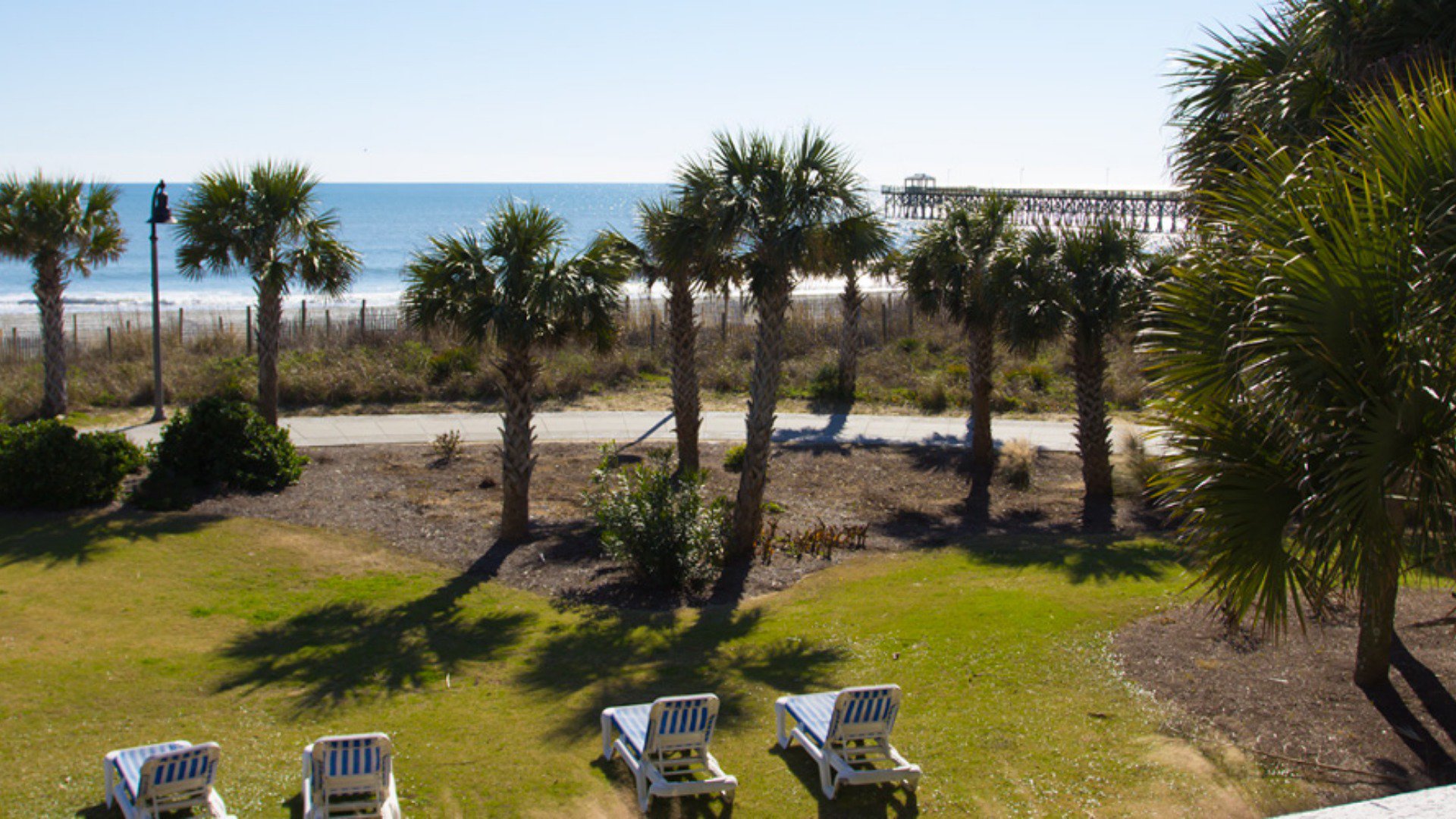 A beachfront view with palm trees, a pier, and a lawn with lounge chairs.