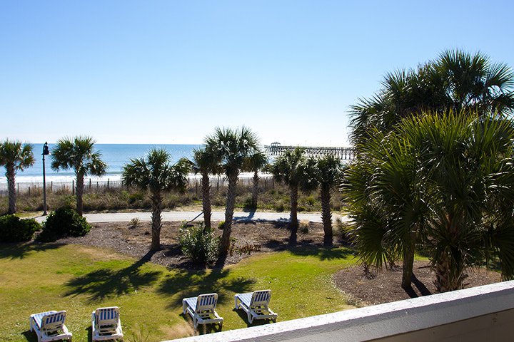 A view of a beach with palm trees, a pier, and lounge chairs on the lawn.